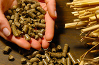 free Field Green biomass boiler quotes